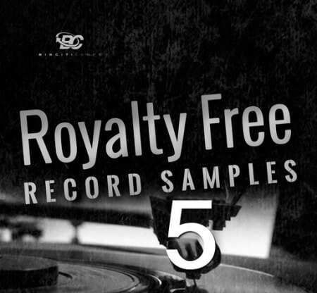 Big Citi Loops Royalty-Free Record Samples Part 5 WAV